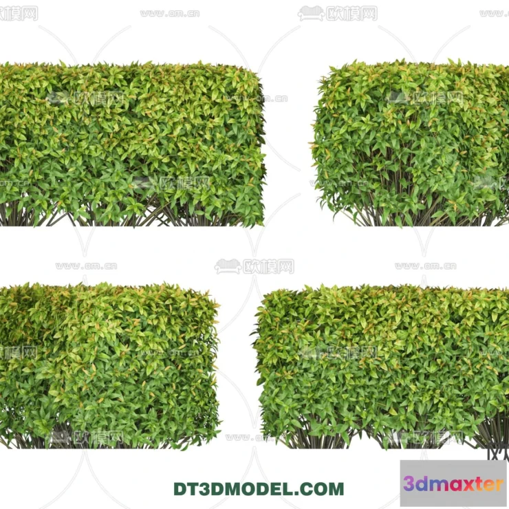 1238270 - PLANTS - BUSH - VRAY  CORONA - 3D MODEL - 259