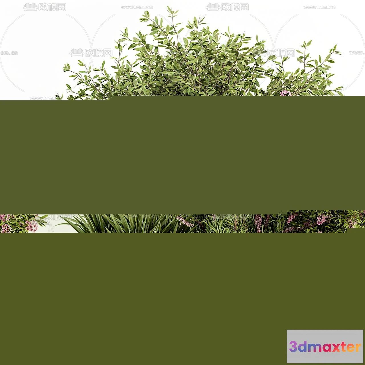 1238274 - PLANTS - BUSH - VRAY  CORONA - 3D MODEL - 261