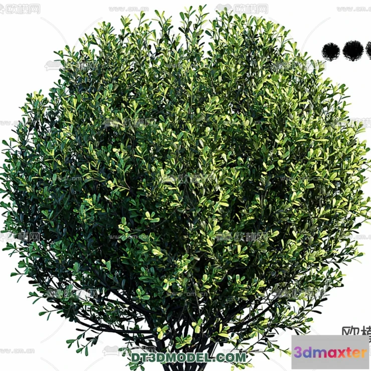 1238280 - PLANTS - BUSH - VRAY  CORONA - 3D MODEL - 264