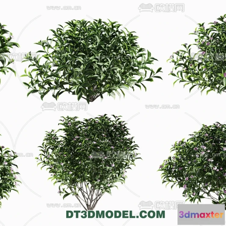 1238282 - PLANTS - BUSH - VRAY  CORONA - 3D MODEL - 265