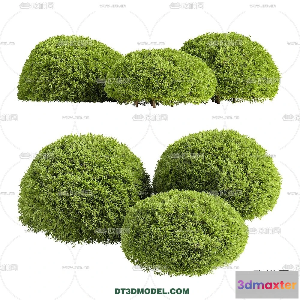 1238286 - PLANTS - BUSH - CORONA - 3D MODEL - 267