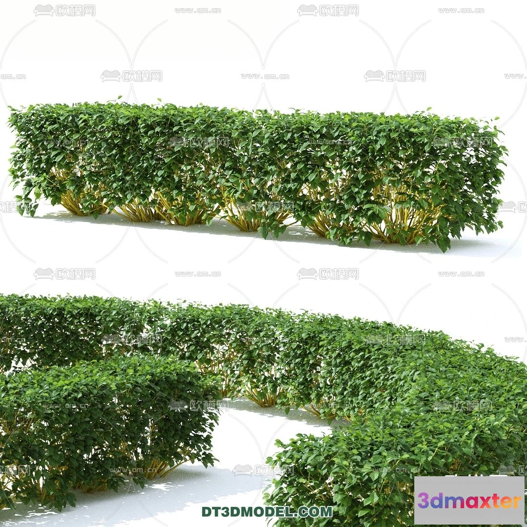 1238296 - PLANTS - BUSH - VRAY  CORONA - 3D MODEL - 272
