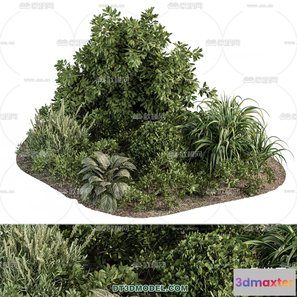 1238306 - PLANTS - BUSH - VRAY  CORONA - 3D MODEL - 277