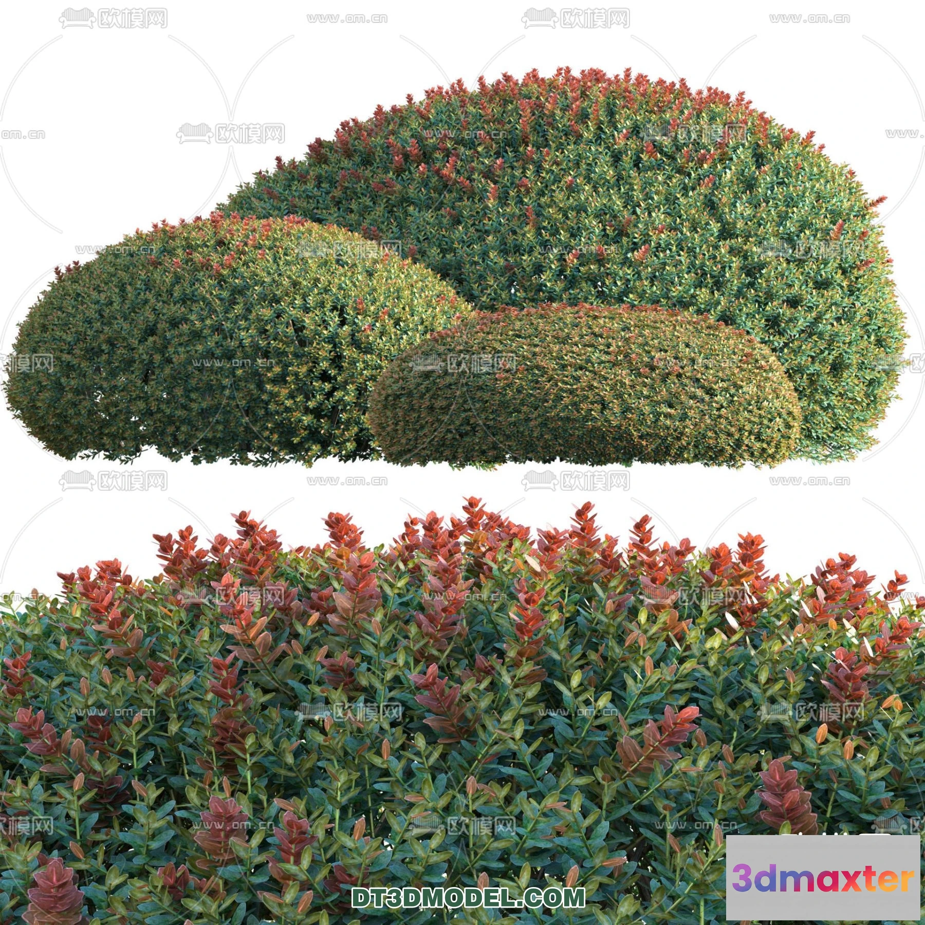 1238308 - PLANTS - BUSH - VRAY  CORONA - 3D MODEL - 278