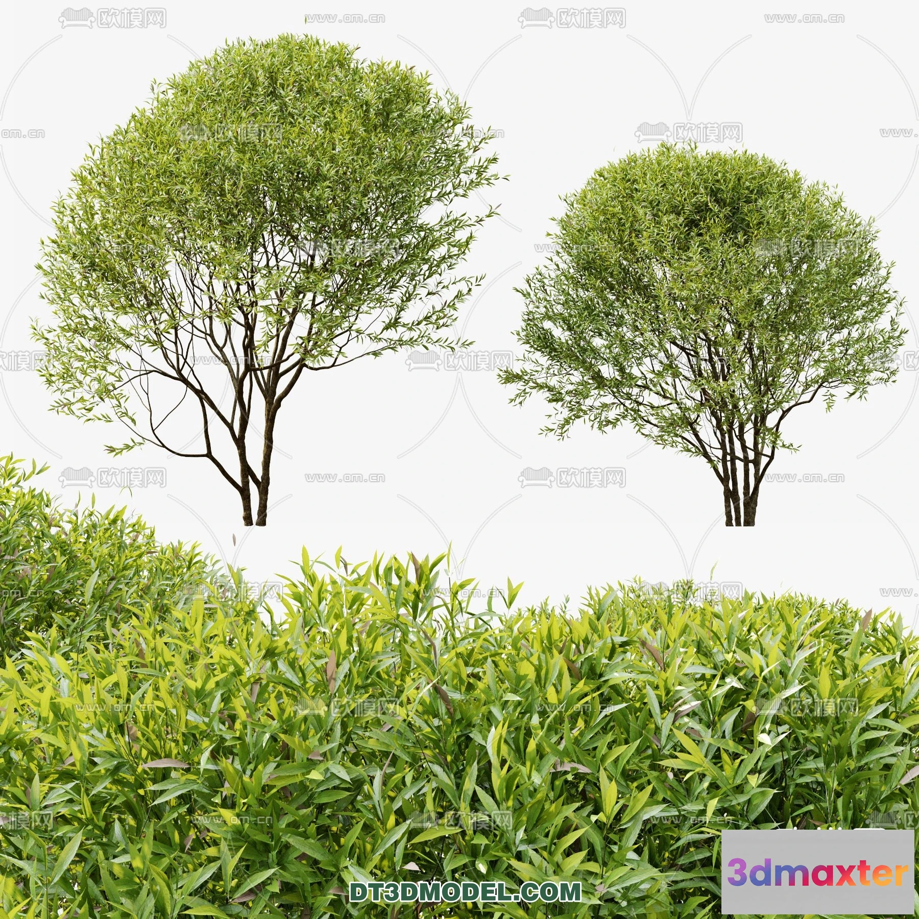 1238314 - PLANTS - BUSH - CORONA - 3D MODEL - 281