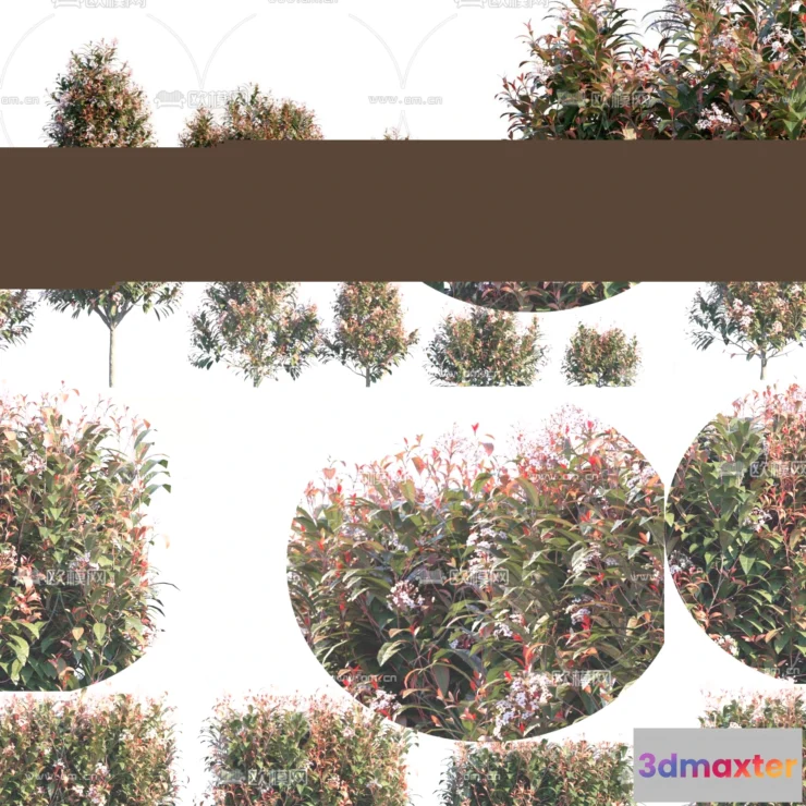 1238320 - PLANTS - BUSH - VRAY  CORONA - 3D MODEL - 284