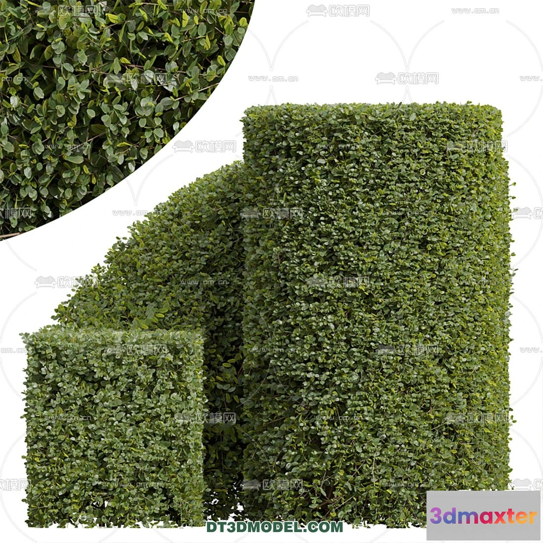1238326 - PLANTS - BUSH - VRAY  CORONA - 3D MODEL - 287
