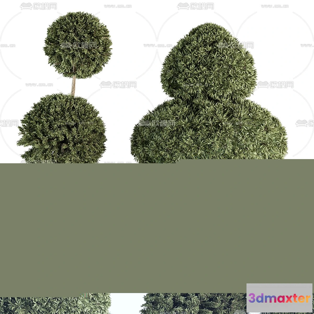 1238328 - PLANTS - BUSH - VRAY  CORONA - 3D MODEL - 288