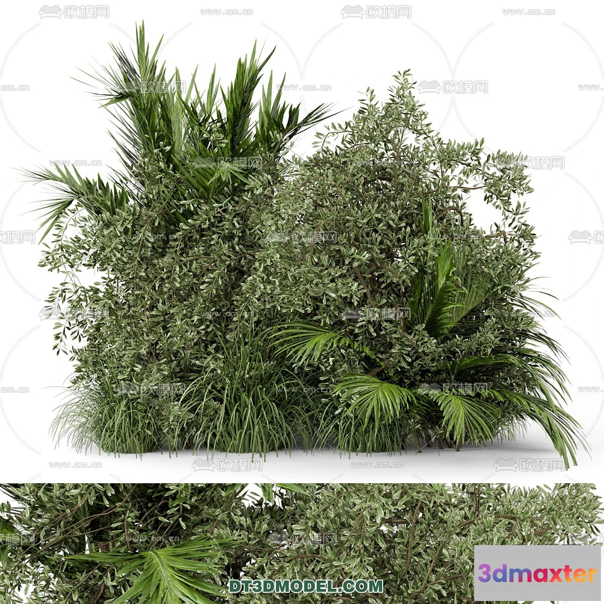 1238332 - PLANTS - BUSH - CORONA - 3D MODEL - 290
