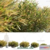 1238334 - PLANTS - BUSH - VRAY  CORONA - 3D MODEL - 291