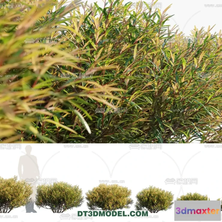 1238334 - PLANTS - BUSH - VRAY  CORONA - 3D MODEL - 291