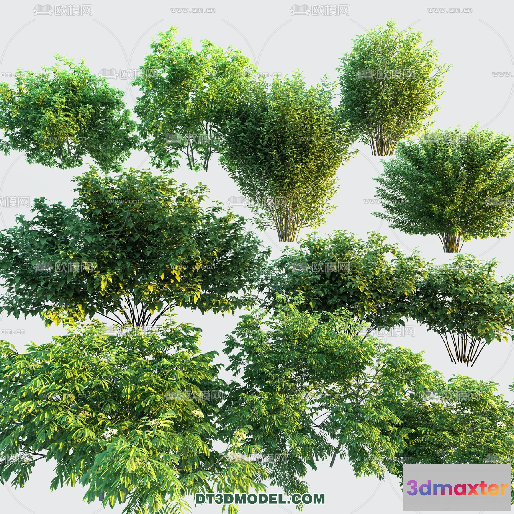 1238340 - PLANTS - BUSH - VRAY  CORONA - 3D MODEL - 294