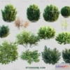 1238342 - PLANTS - BUSH - VRAY  CORONA - 3D MODEL - 295