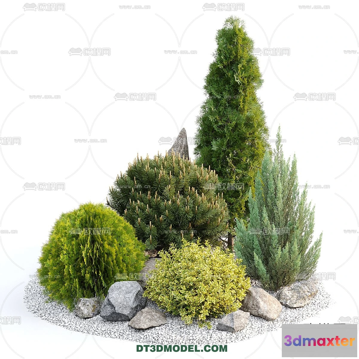 1238374 - PLANTS - BUSH - CORONA - 3D MODEL - 311