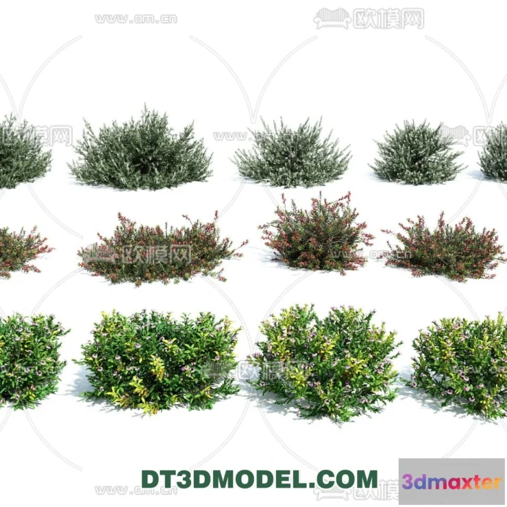 1238380 - PLANTS - BUSH - VRAY  CORONA - 3D MODEL - 314
