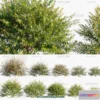 1238384 - PLANTS - BUSH - CORONA - 3D MODEL - 316