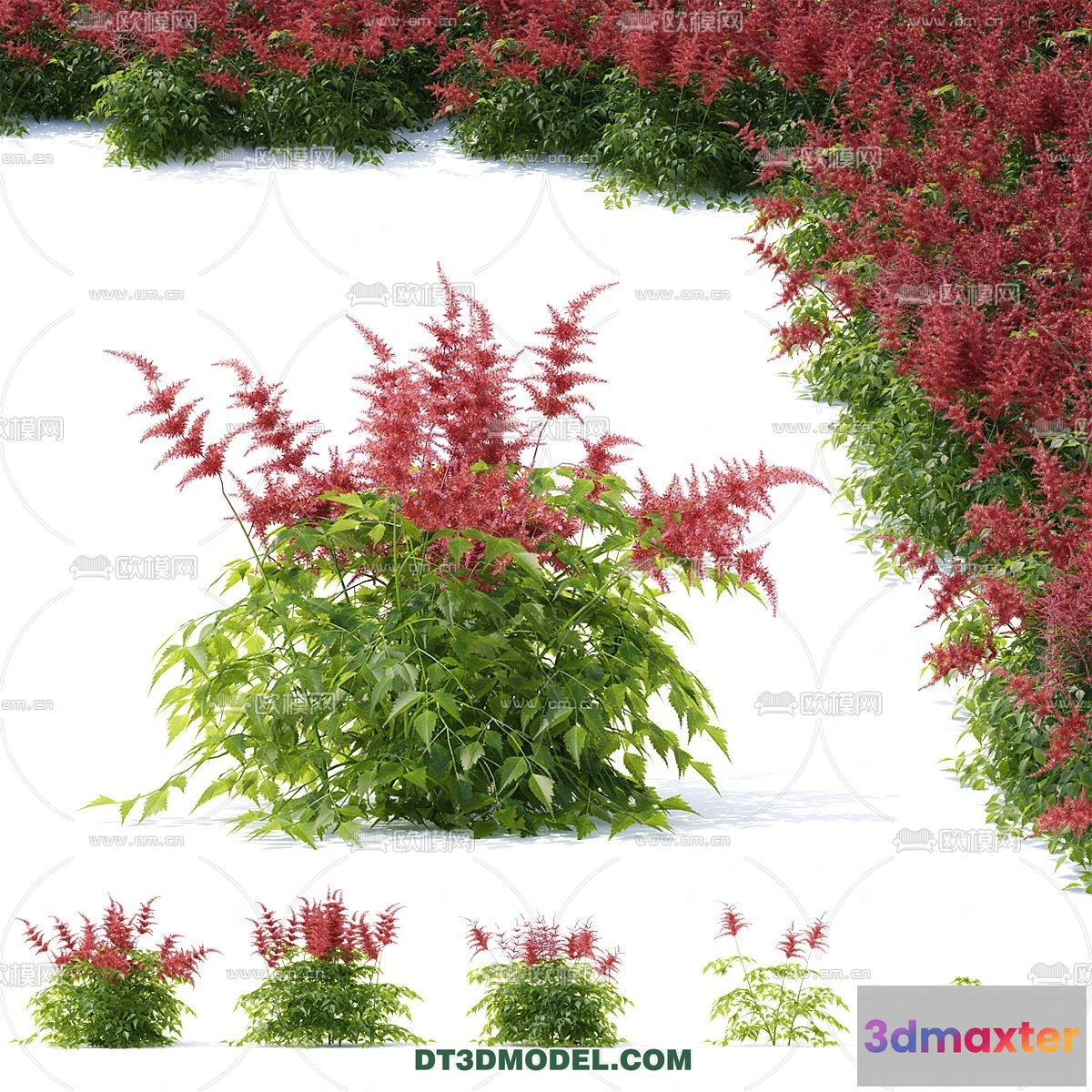 1238386 - PLANTS - BUSH - VRAY  CORONA - 3D MODEL - 317