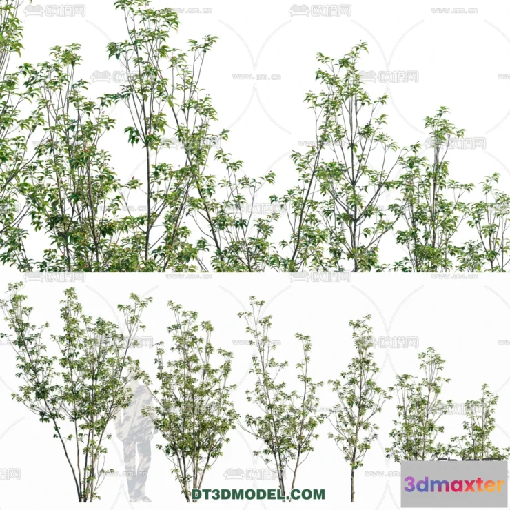 1238390 - PLANTS - BUSH - CORONA - 3D MODEL - 319