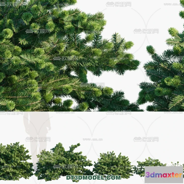 1238392 - PLANTS - BUSH - VRAY  CORONA - 3D MODEL - 320