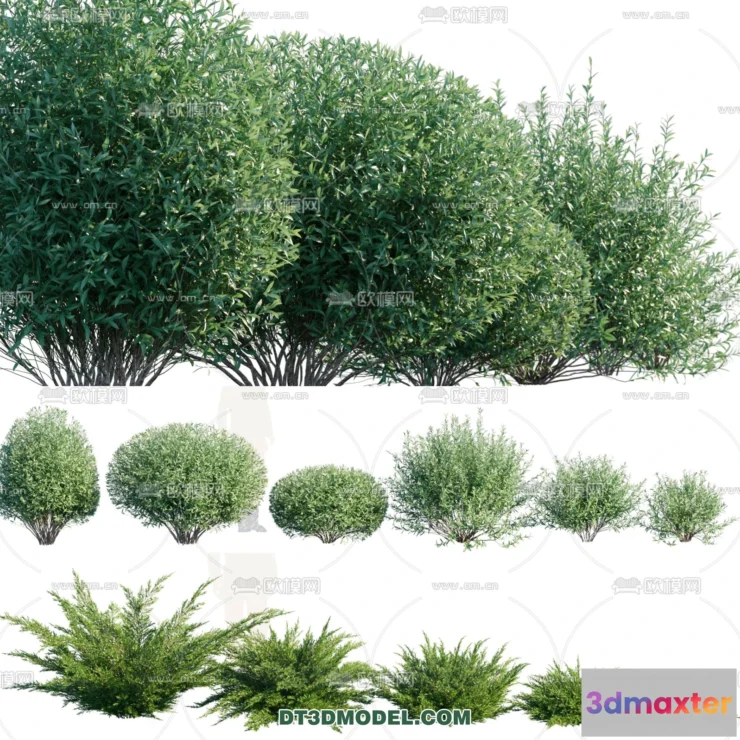 1238394 - PLANTS - BUSH - VRAY  CORONA - 3D MODEL - 321