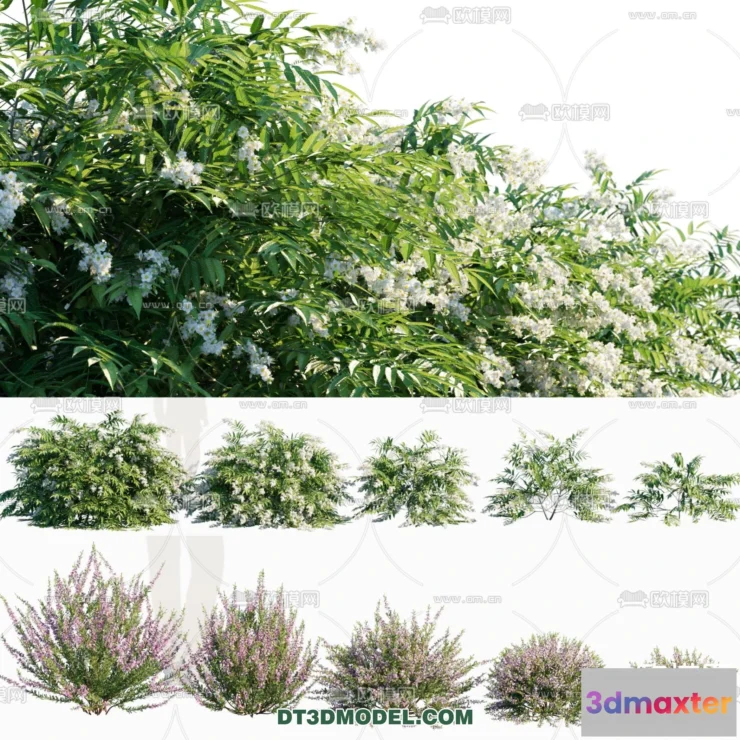 1238396 - PLANTS - BUSH - VRAY  CORONA - 3D MODEL - 322