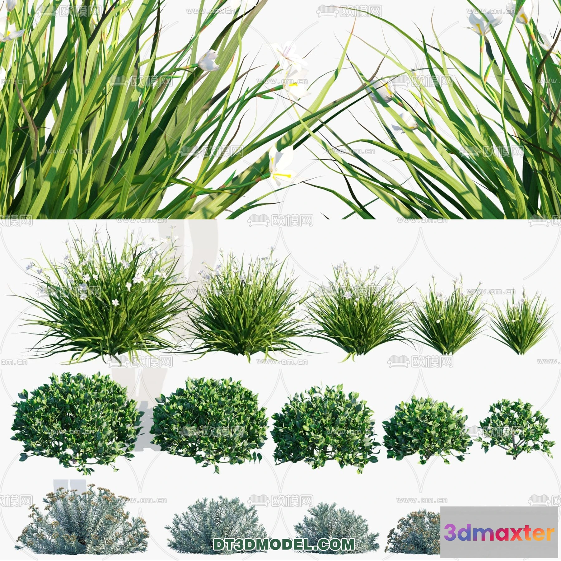 1238400 - PLANTS - BUSH - CORONA - 3D MODEL - 324