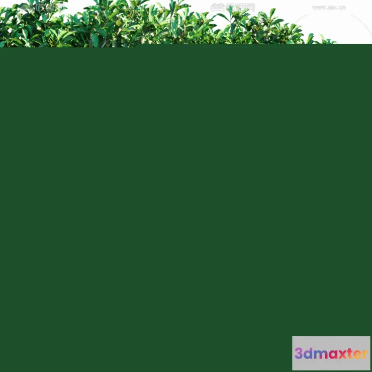 1238402 - PLANTS - BUSH - CORONA - 3D MODEL - 325