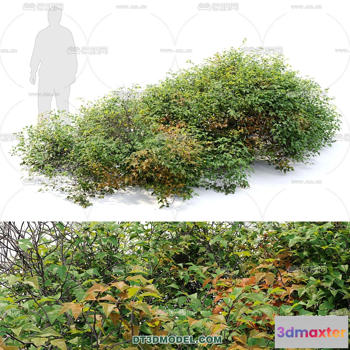 1238406 - PLANTS - BUSH - VRAY  CORONA - 3D MODEL - 327