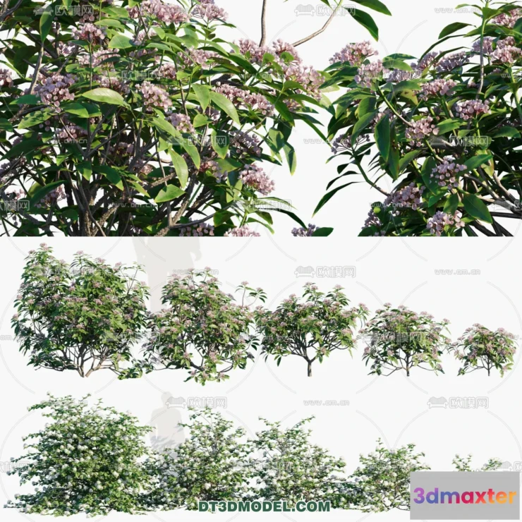 1238408 - PLANTS - BUSH - VRAY  CORONA - 3D MODEL - 328