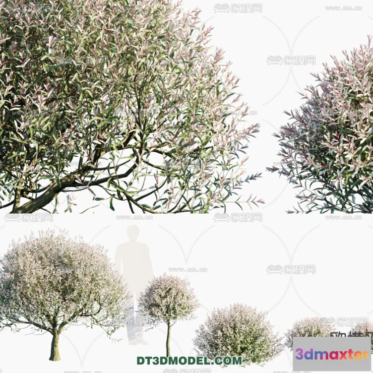 1238412 - PLANTS - BUSH - VRAY  CORONA - 3D MODEL - 330