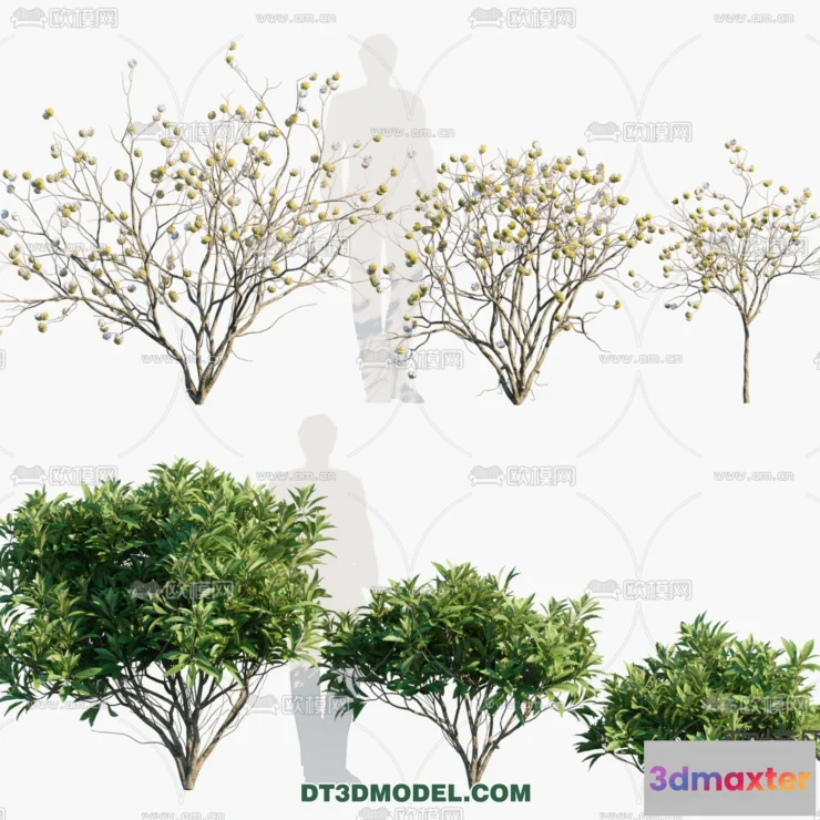 1238414 - PLANTS - BUSH - VRAY  CORONA - 3D MODEL - 331