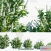 1238418 - PLANTS - BUSH - VRAY  CORONA - 3D MODEL - 333