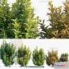 1238420 - PLANTS - BUSH - VRAY  CORONA - 3D MODEL - 334
