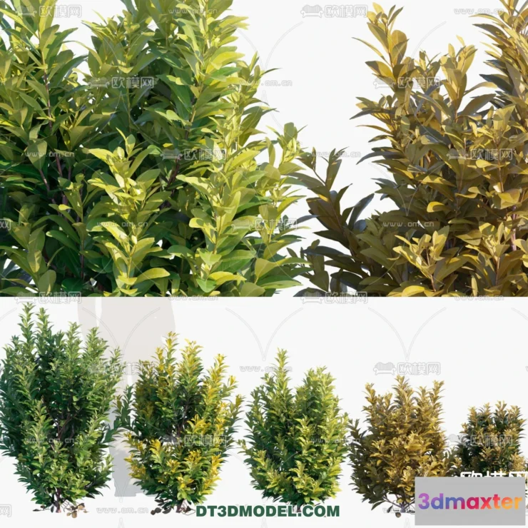 1238420 - PLANTS - BUSH - VRAY  CORONA - 3D MODEL - 334