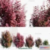 1238422 - PLANTS - BUSH - VRAY  CORONA - 3D MODEL - 335