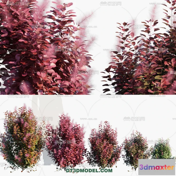 1238422 - PLANTS - BUSH - VRAY  CORONA - 3D MODEL - 335