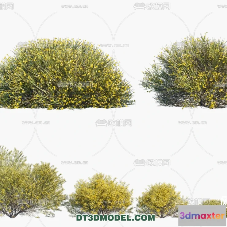 1238424 - PLANTS - BUSH - CORONA - 3D MODEL - 336