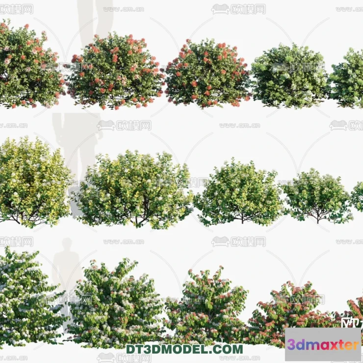 1238428 - PLANTS - BUSH - VRAY  CORONA - 3D MODEL - 338