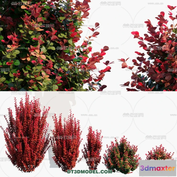 1238432 - PLANTS - BUSH - VRAY  CORONA - 3D MODEL - 340