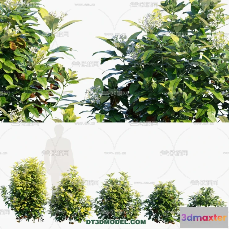 1238434 - PLANTS - BUSH - VRAY  CORONA - 3D MODEL - 341