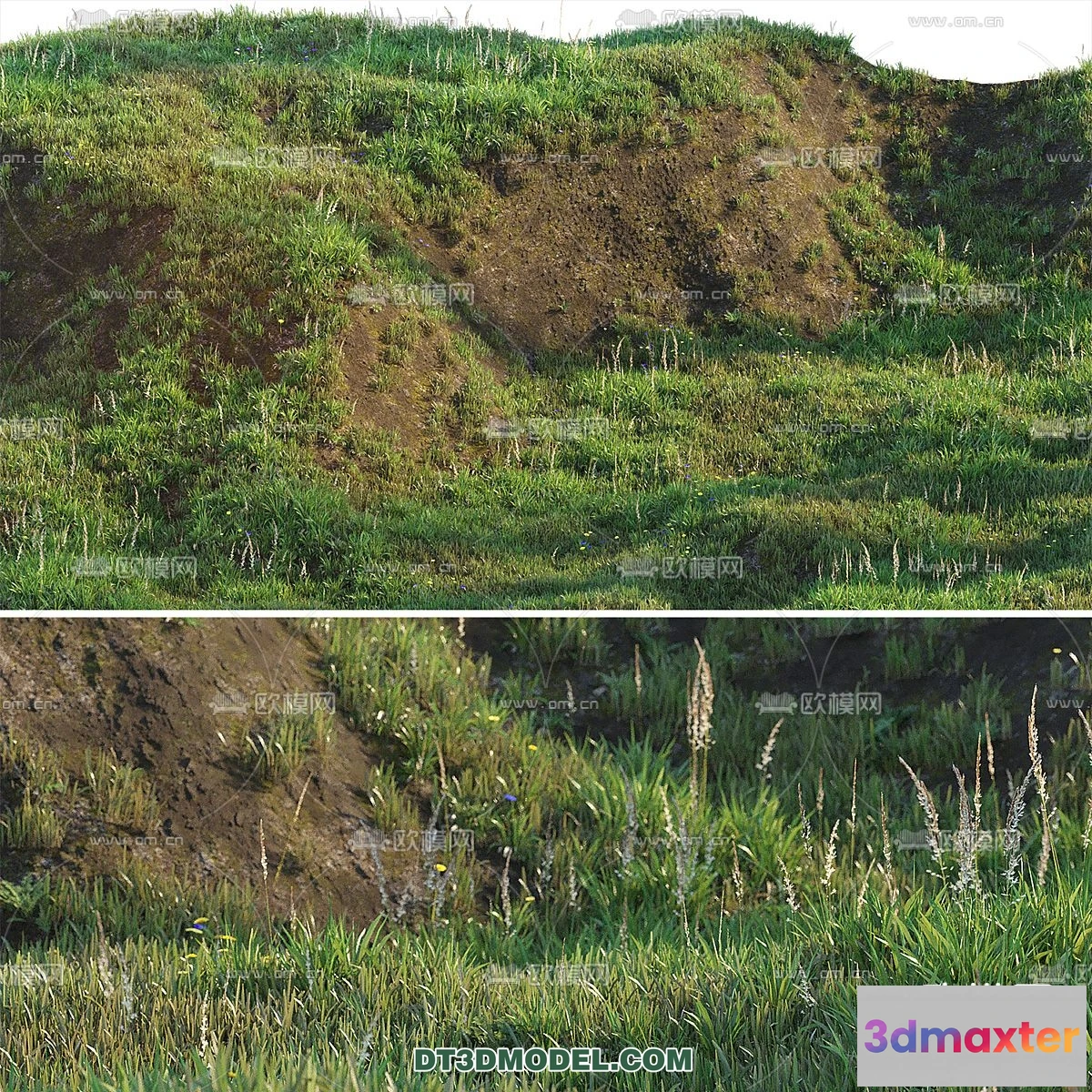 1238438 - PLANTS - BUSH - CORONA - 3D MODEL - 343