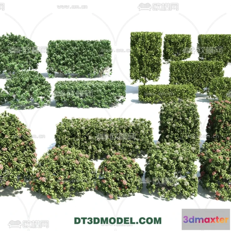 1238440 - PLANTS - BUSH - VRAY  CORONA - 3D MODEL - 344