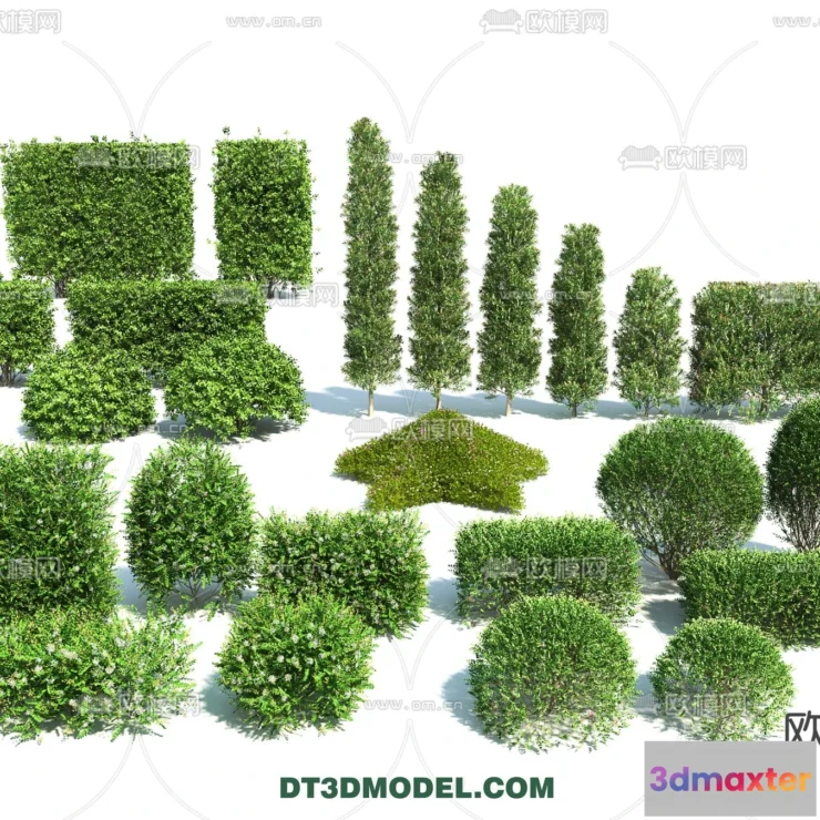 1238446 - PLANTS - BUSH - VRAY  CORONA - 3D MODEL - 347