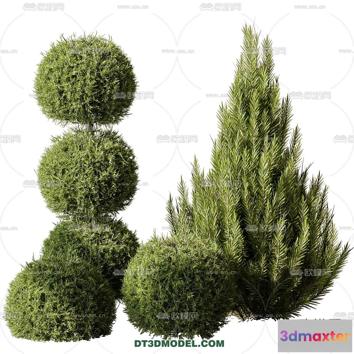1238454 - PLANTS - BUSH - CORONA - 3D MODEL - 351