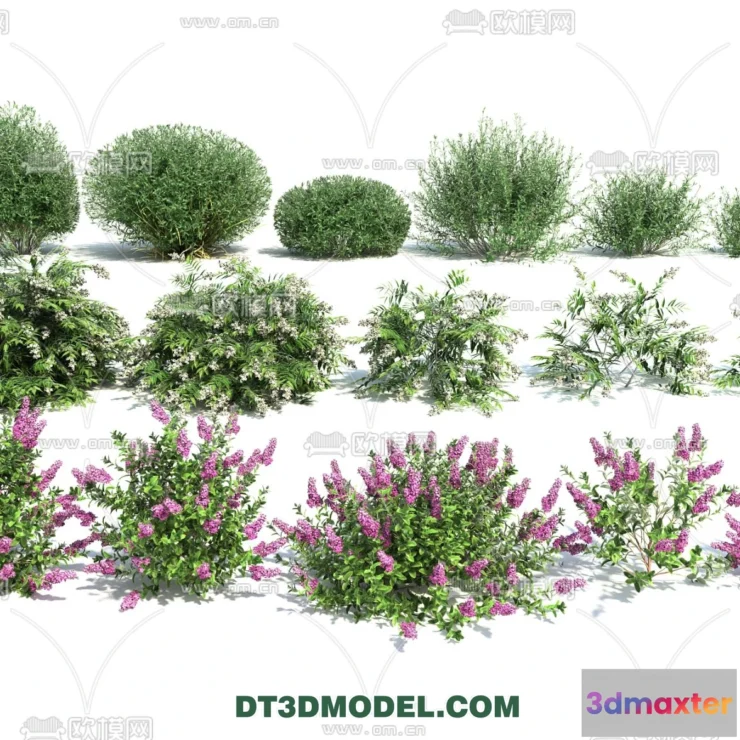1238458 - PLANTS - BUSH - VRAY  CORONA - 3D MODEL - 353