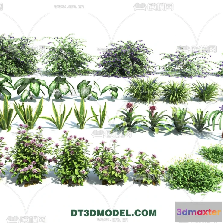1238466 - PLANTS - BUSH - VRAY  CORONA - 3D MODEL - 357