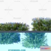 1238468 - PLANTS - BUSH - VRAY  CORONA - 3D MODEL - 358