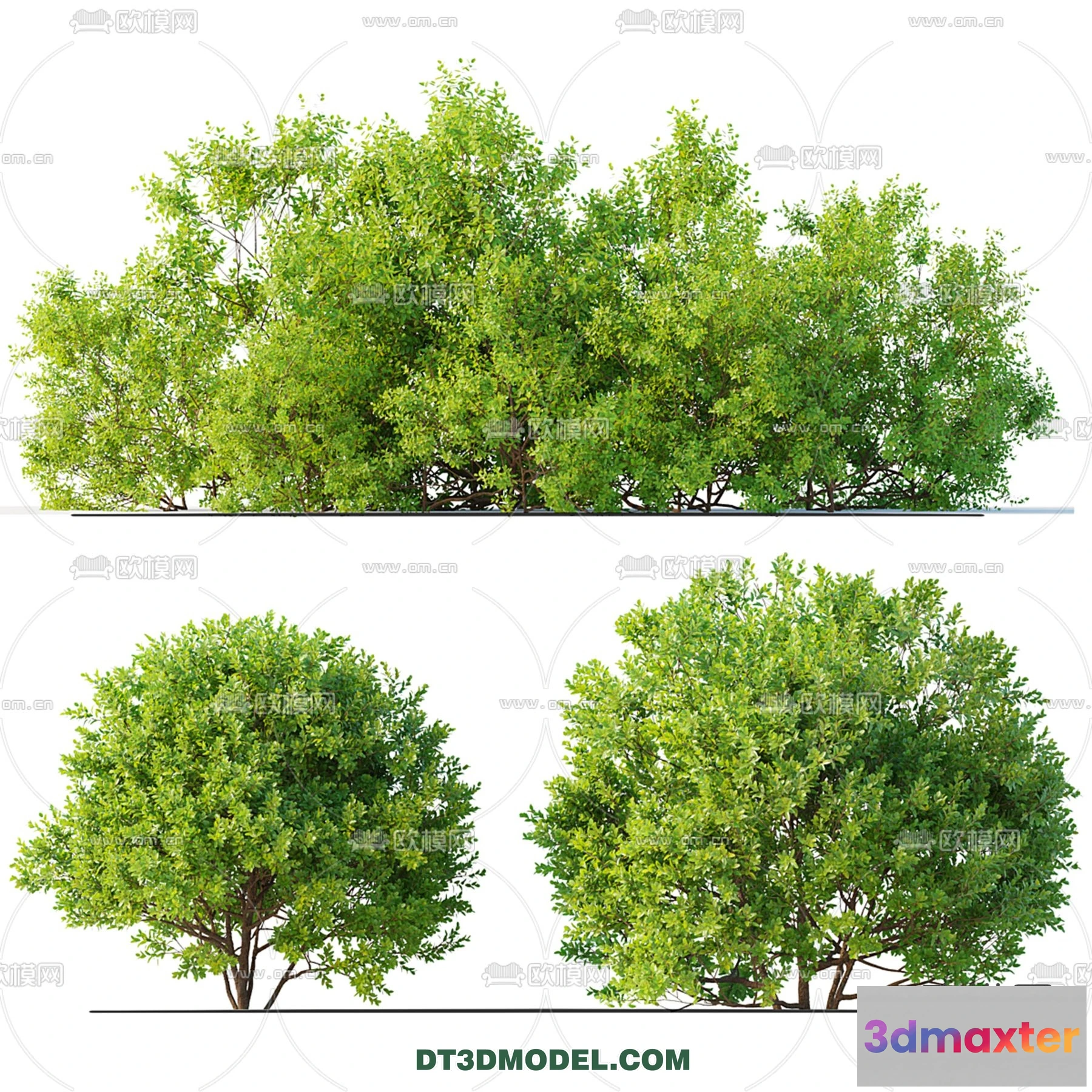 1238478 - PLANTS - BUSH - CORONA - 3D MODEL - 363