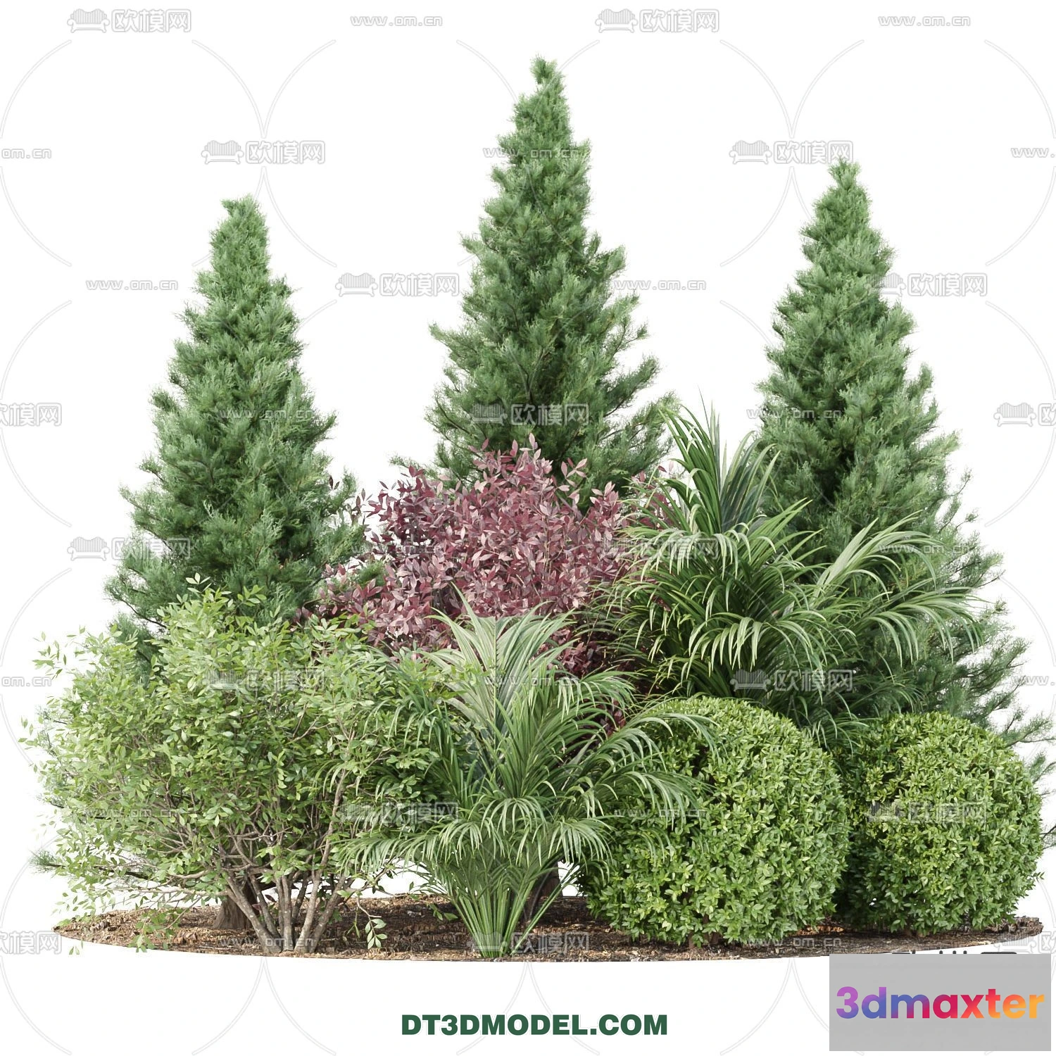 1238482 - PLANTS - BUSH - CORONA - 3D MODEL - 365