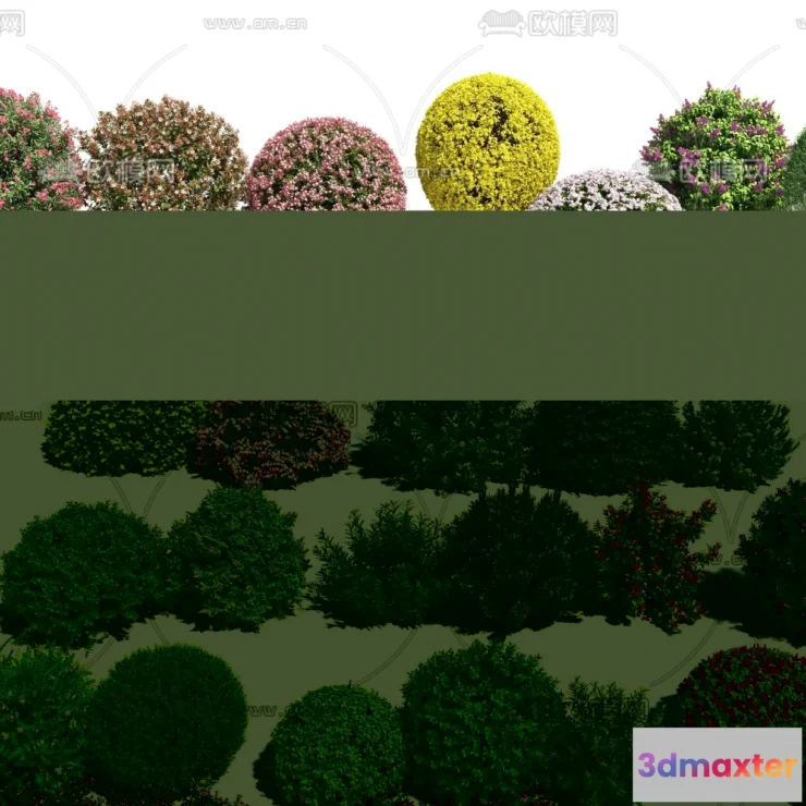 1238486 - PLANTS - BUSH - VRAY  CORONA - 3D MODEL - 367